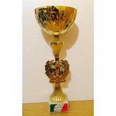 Vittoria di categoria M2 ai campionati italiani di olimpico 2008